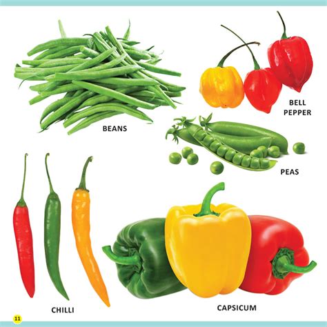 My First Library Fruits and Vegetables – mumma.com