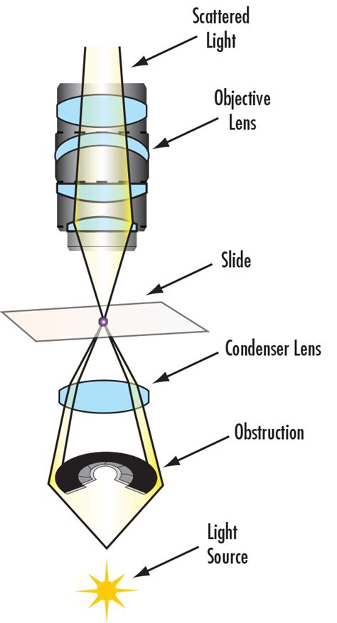 Optical Microscopy Application: Darkfield Illumination