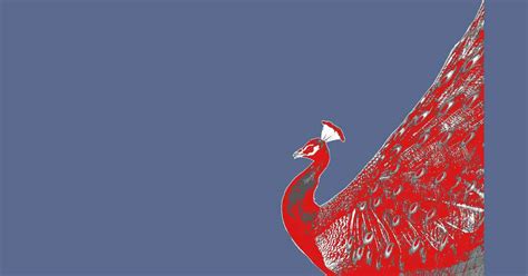 Signalling Economics 的图像结果