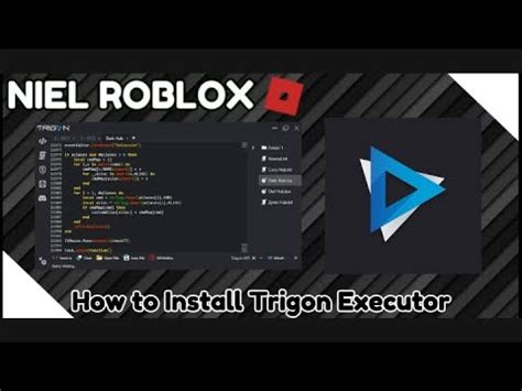 Trigon Executor Script 的图像结果