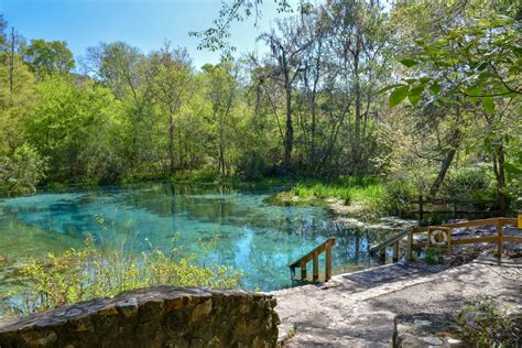 15 Best Florida Springs With Camping You Should Visit - Florida Trippers