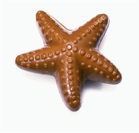 What Does The Phrase Chocolate Starfish Mean at Joyce Sargent blog