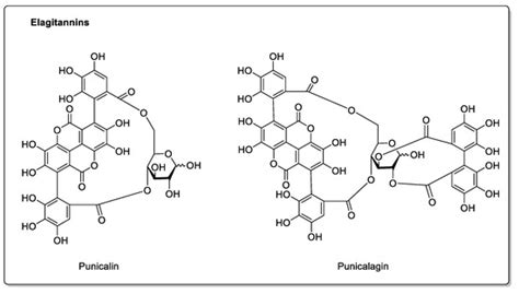Flavonoids and Furanocoumarins Involved in Drug Interactions