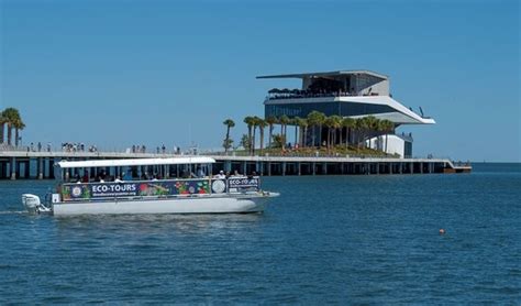 Dolphin Viewing - Reviews, Photos - Tampa Bay Watch Discovery Center ...