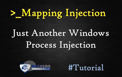 Injective Mapping Check Algorithm 的图像结果