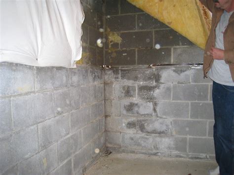 Moisture In Basement | Home and Garden