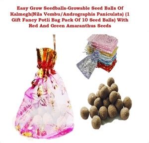 MGBN EASY GROW SEEDBALLS-GROWABLE SEED BALLS OF KALMEGH(NILA VEMBU ...