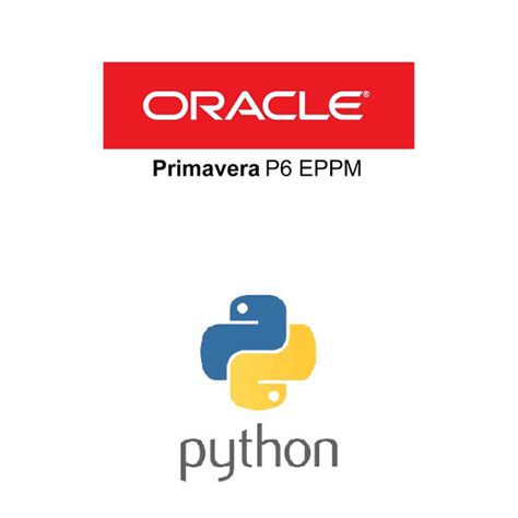 From CSV to P6 Python 的图像结果