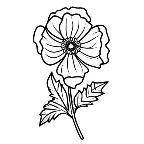Coloring Pages Poppy Flower