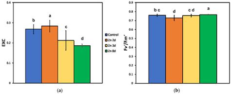 A Hormetic Spatiotemporal Photosystem II Response Mechanism of Salvia ...