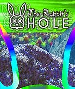 Image result for Rabbit Holes and Nests