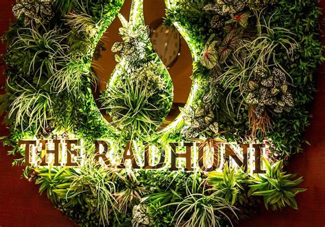 THE 10 BEST Indian Restaurants in Edinburgh (Updated 2024)