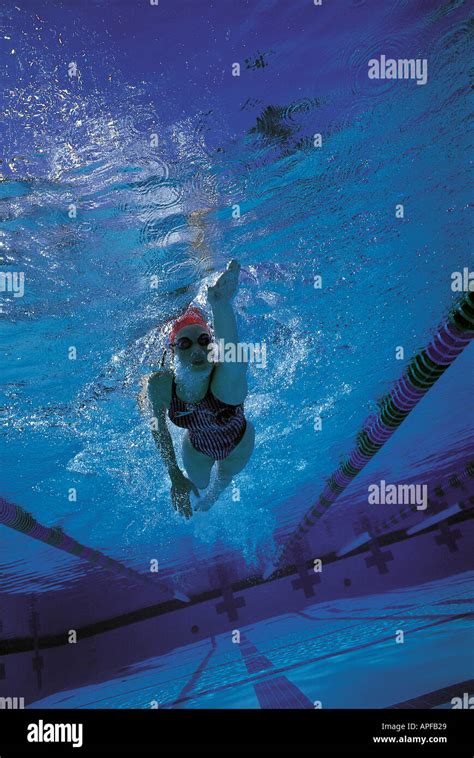 Freestyle Swimming 的图像结果