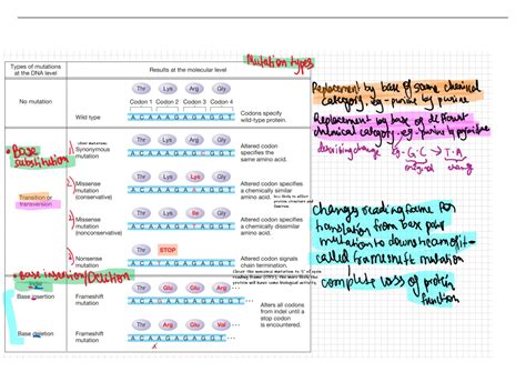 Mutation 的图像结果
