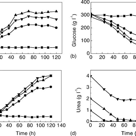 Image result for Continuous Fermentation