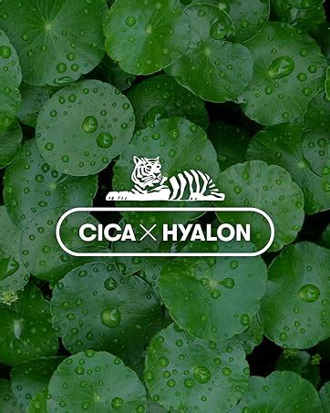 VT COSMETICS CICA Reedle Shot 100 Essence, Daily Face Essence, Centella ...