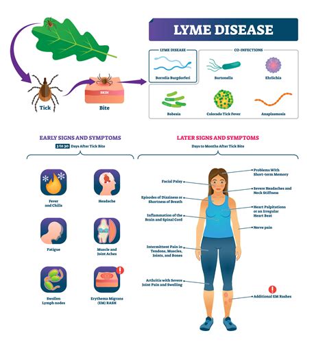 Lyme Disease Symptoms Checklist