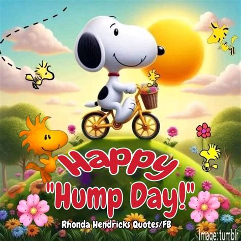 Happy Hump Day Snoopy Quote Pictures, Photos, and Images for Facebook ...