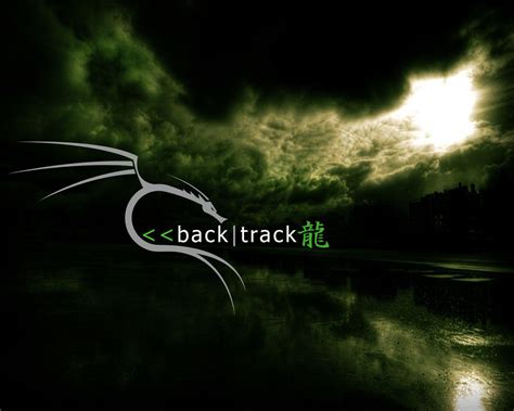 Backtrack Java 的图像结果