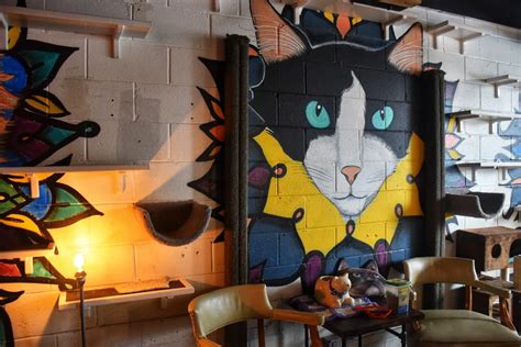 Our First Exciting Experience at Java Cats Cafe Atlanta | Product ...