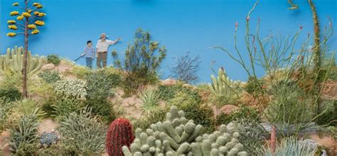 School Holidays: Desert Jungle Collage - Newcastle City Library ...