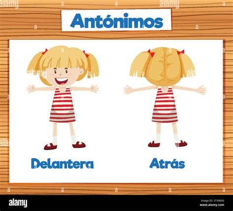 Illustrated word card featuring antonyms Delantera and Atras in Spanish ...