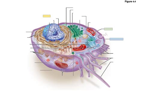 Generalized Cell Structure 的图像结果