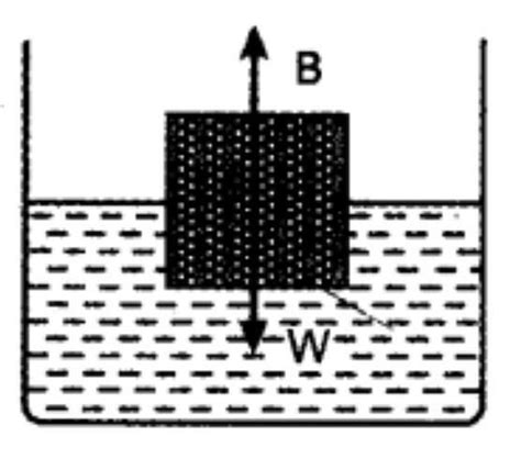 What is meant by buoyancy? Draw a diagram to show two forces acting on ...