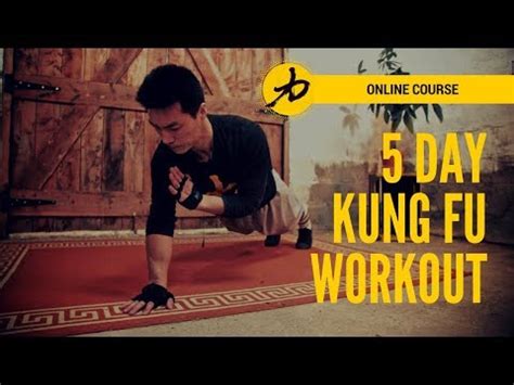Image result for Shaolin Basic Exercises