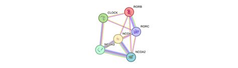 Image result for Rorb Model Routing