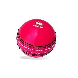 Jaspo Cricket Ball (PVC Soft) For Practice, Training , Matches For All ...