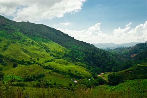 Honduras, mare verde tropicale | Honduras