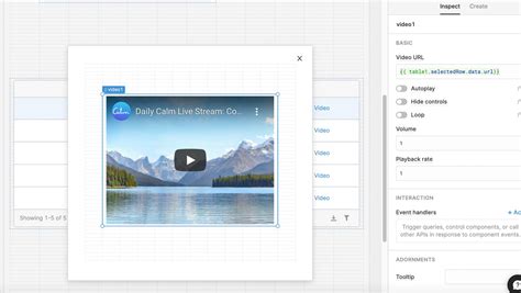 Dynamic Queries Example Video 的图像结果