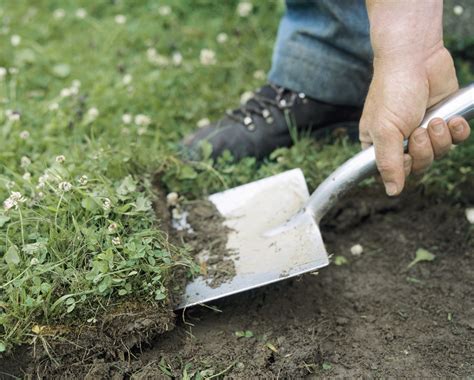 Remove Grass From Flowerbeds