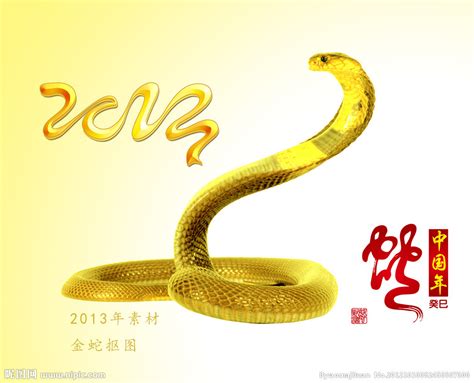 2013 金蛇源文件__节日庆祝_文化艺术_源文件图库_昵图网nipic.com
