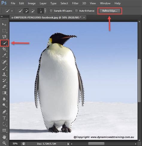 Image result for Using the Quick Selection Tool