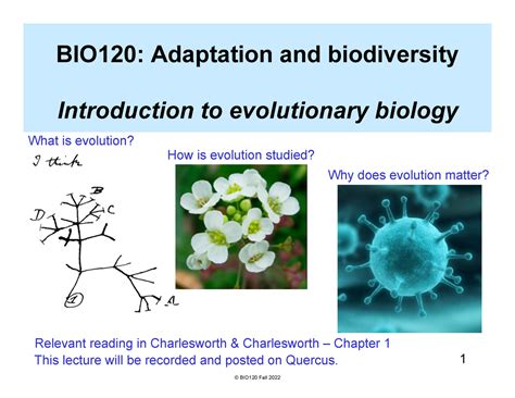 Image result for Evolutionary Biology Explained