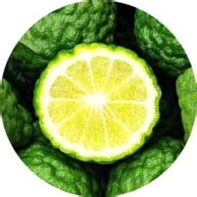 Kimirica Ignis Smooth Conditioner 300 ml,with Bergamot and Tea Tree for ...