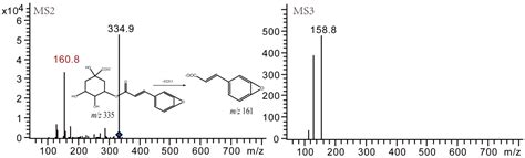 Stability and Degradation of Caffeoylquinic Acids under Different ...