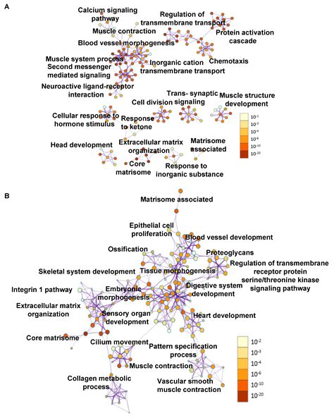 Transcriptome Profiling Reveals Matrisome Alteration as a Key Feature ...