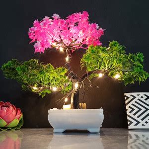 Asharya Artificial Bonsai Plant with LED Light| Pot for Office, Room ...