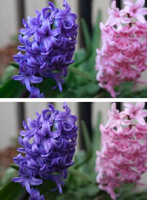 Image result for File Format Photography