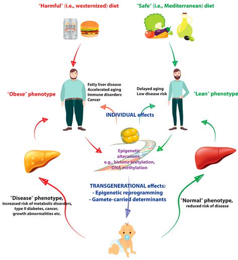 Food and Health Chapter Notes - Science Class 5 ICSE PDF Download