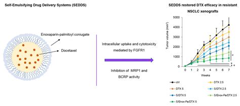 Targeted Self-Emulsifying Drug Delivery Systems to Restore Docetaxel ...