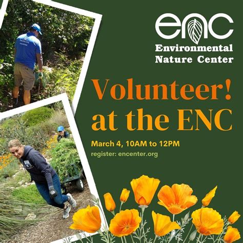 VOLUNTEER! Help us remove invasive, non-native weeds, Environmental ...