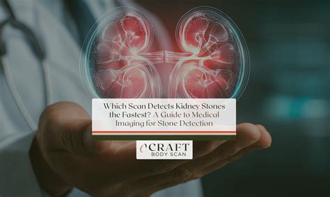 Chronic Microvascular Ischemic Disease: Understanding the Condition
