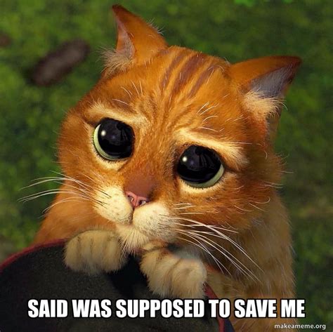 Said was supposed to save me Meme Generator