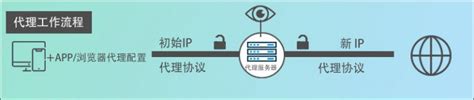 代理 Proxy/服务器是什么？它真的是在线匿名、自由安全上网利器？