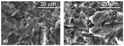 Micro-Raman Spectroscopy of Dental Implants Subjected to Different ...
