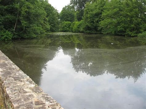 Corps sans vie découvert dans un étang près de Nantes : les causes du ...